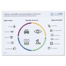 Scrum Basics - Knowhow Cards - English Version